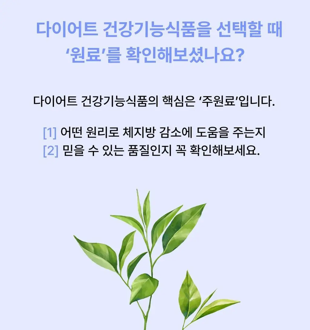 [포켓몬 에디션/5월 올영픽] 니아르 가르시니아/브이케어 14+6정 기획 (+미니하트괄사 랜덤 증정) 상세페이지 73